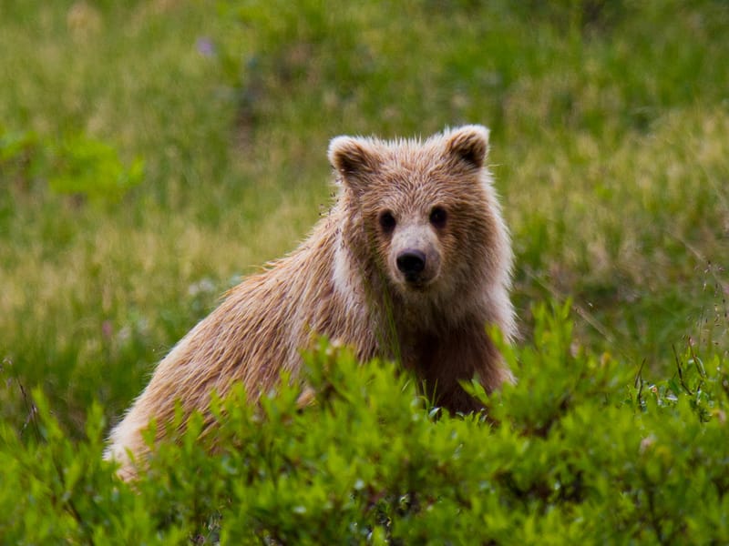 Best time to visit Canada | On The Go Tours | ZA