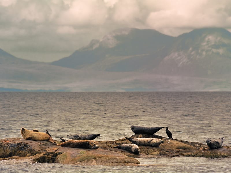 Best Time to Visit the United Kingdom - On The Go Tours