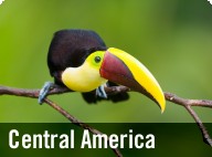 Central America
