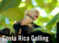 Costa Rica Calling