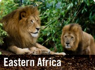 Eastern Africa