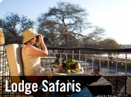 Lodge Safaris