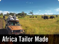 Africa Tailor Made