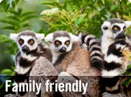 Family friendly