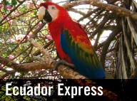 Ecuador Express