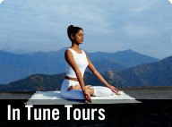 In Tune Tours
