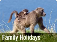 Family Holidays