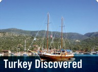 Turkey Discovered