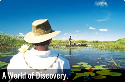 Specialist Tours with On The Go Tours