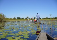 Kick back in a mokoro in Botswana on one of our Southern Africa Safaris