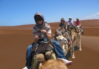 Boys on camels trekking in the Sahara