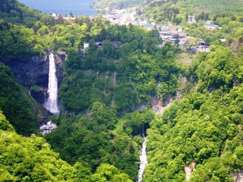 Day Trip to Nikko National Park On The Go Tours