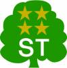 AITO 4-star ST logo