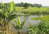 Majuli Island on the Bhramaputra River - the world's largest river island.
