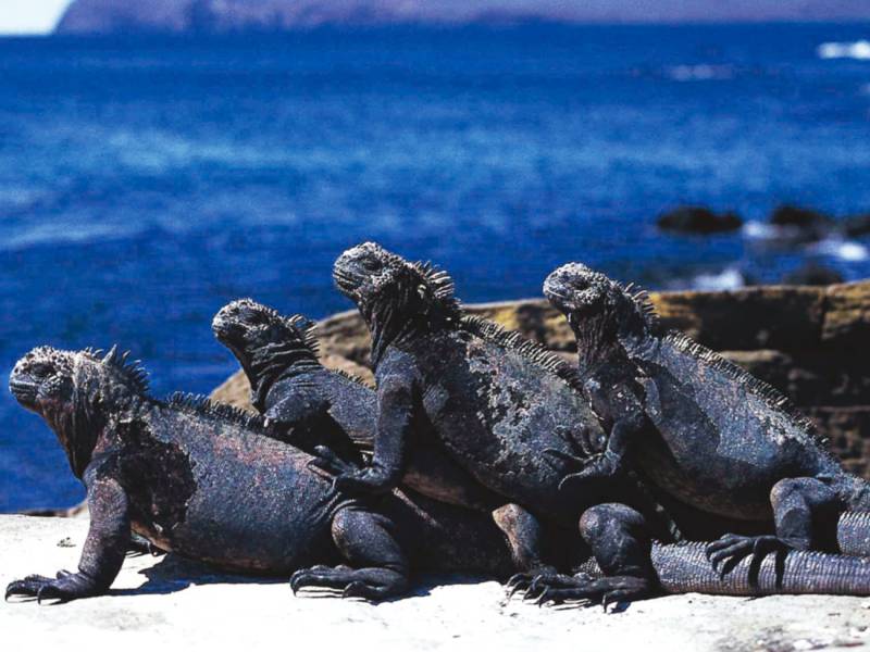 Places to visit in the Galapagos Islands On The Go Tours CA