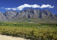 Vineyards with a beautiful South African back drop - a great place to start or end an African Safari