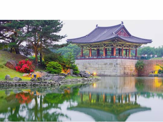 South Korean Express - 7 Days