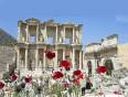The Temple of Ephesus framed by poppies