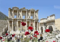 The Temple of Ephesus framed by poppies