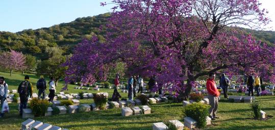 One of the many ANZAC grave sites near ANZAC Cove in Gallipoli