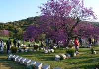 One of the many ANZAC grave sites near ANZAC Cove in Gallipoli