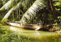 The lush backwaters of Kerala