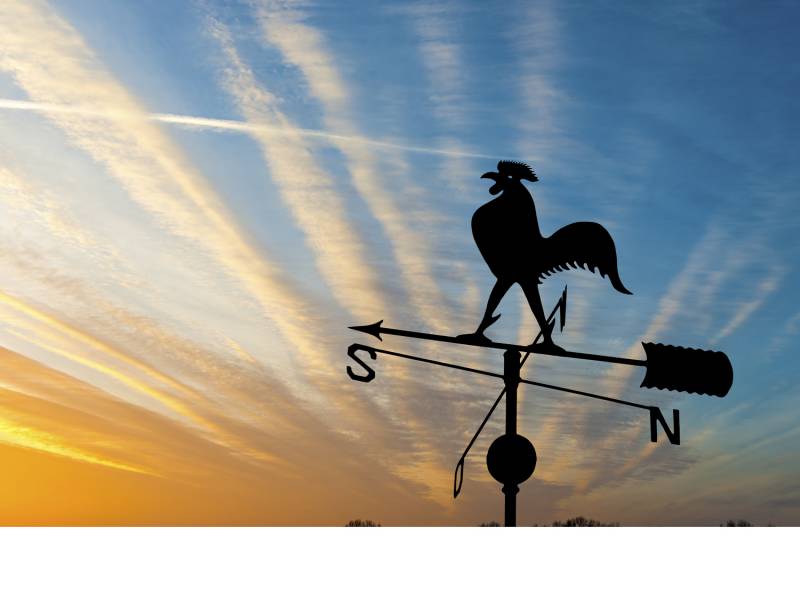 Best Time to Unlock Success and Productivity