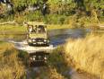Game drive in Chobe National Park