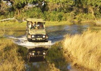 Game drive in Chobe National Park