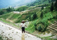 Our China Tours take you off the beaten track to the rural areas of China as well as the famous citi