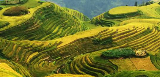 The wonderful Dragon's Backbone in Longsheng
