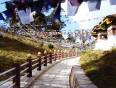 A picture of a path in Bhutan covered in pretty prayer flags