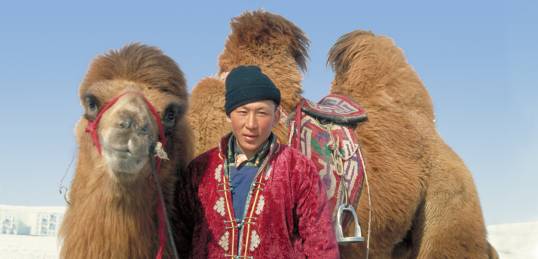 Mongolian man with his camel