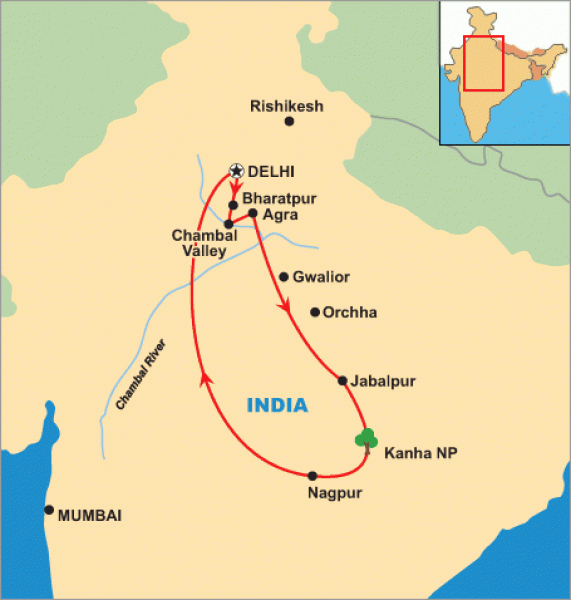 Keoladeo National Park teems with thousands of migratory birds during Keoladeo National Park teems with thousands of migratory birds during
