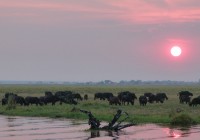 The stunning sunset on the Chobe river seen on a river cruise on our African Lodge Safaris