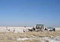 Exploring Makgadikgadi Pans.
