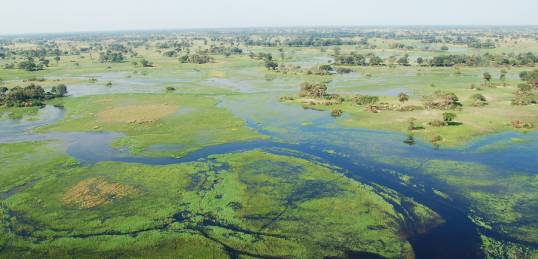 Aerial view of the Okavango Delta - view it on a flight over the Delta - a great addition to any Bot