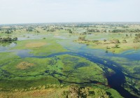 The Okavango Delta . Photo courtesy of Sara &amp; Joachim