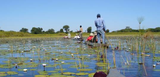 In Mokoros on the Okavango Delta
