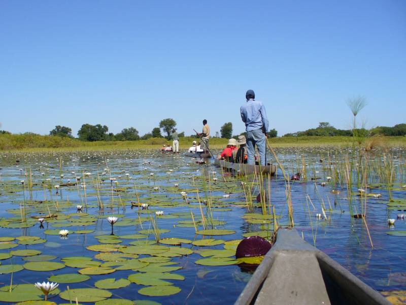 Best Places to Visit in Botswana On The Go Tours NZ