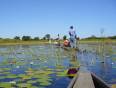 In Mokoros on the Okavango Delta