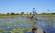 In Mokoros on the Okavango Delta