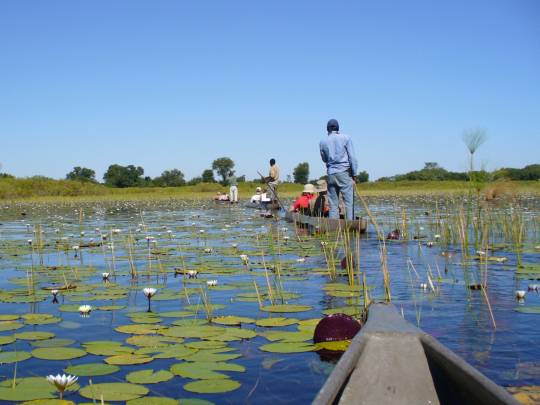 Botswana Lodge Explorer - 8 Days