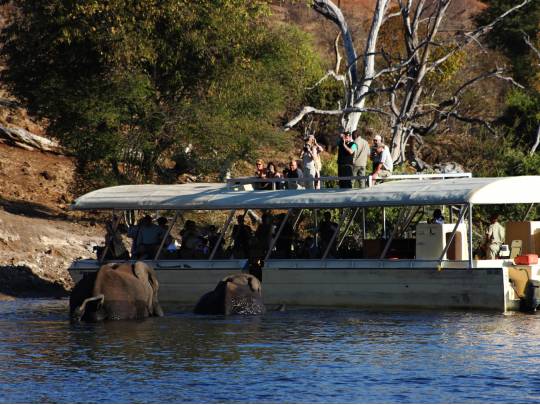 Botswana Untouched - 13 Days