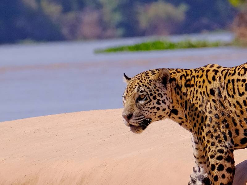 Best Brazil Tours & Group Trips 2024/2025 | On The Go Tours | ZA