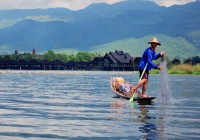 One of the many famous fishermen in Burma's Inle Lake.