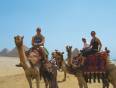 People riding camels at the Pyramids of Giza