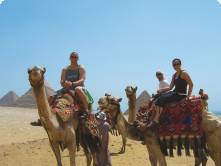 People riding camels at the Pyramids of Giza