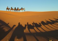 Camels crossing the Sahara desert leaving long shadows