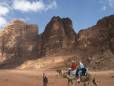 Camels walking through Wadi Rum